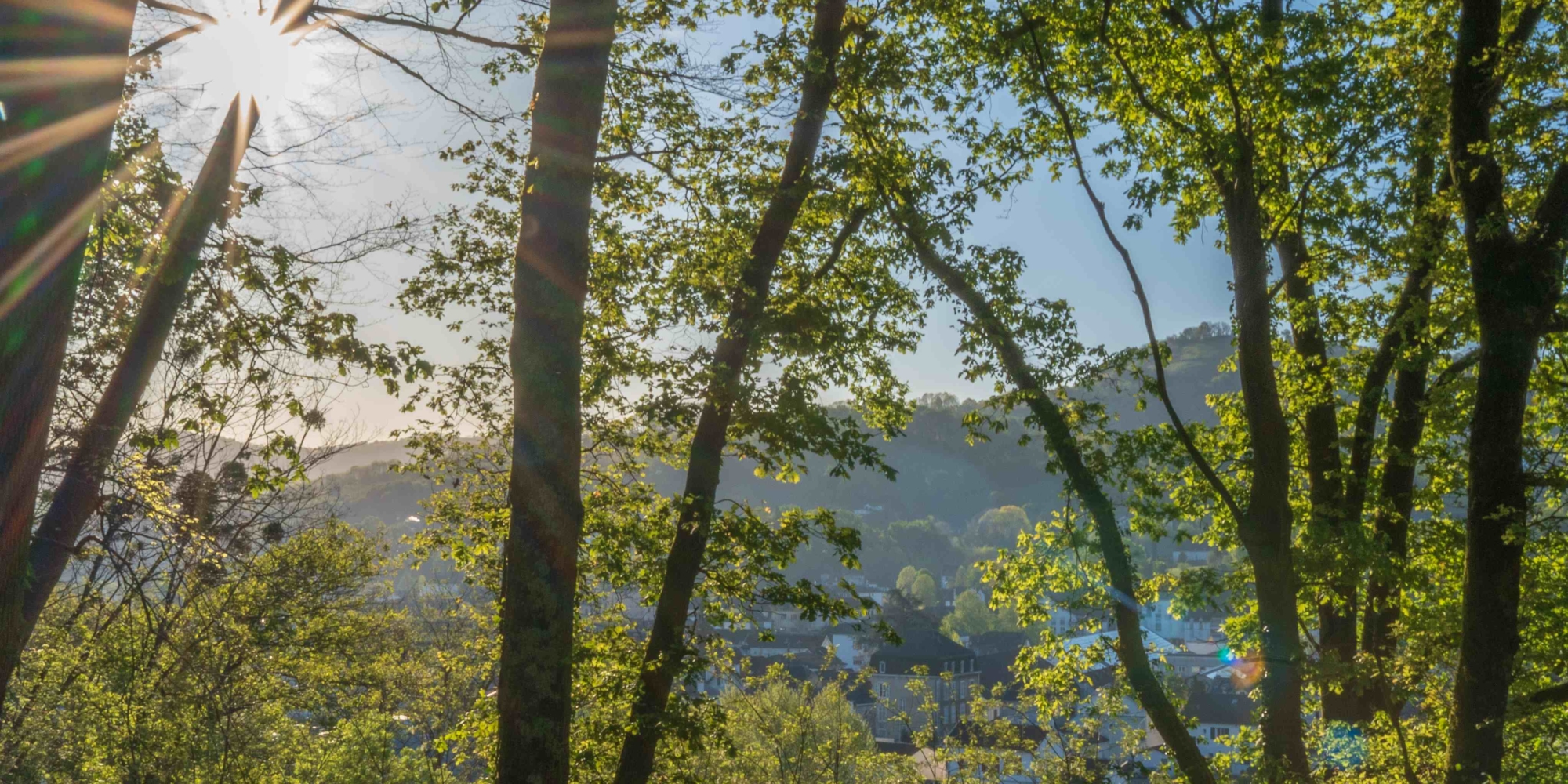 EMECA s’engage dans la décarbonation