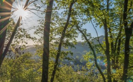 EMECA s’engage dans la décarbonation