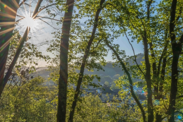 EMECA s’engage dans la décarbonation